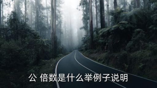 公倍數(shù)是什么意思,最小公倍數(shù)和最大公倍數(shù)是什么意思