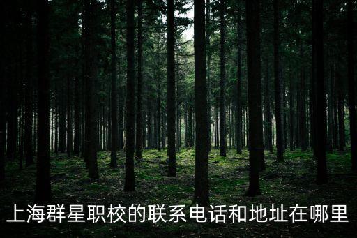 上海市群星職業(yè)學(xué)校網(wǎng)站，上海群星職校的聯(lián)系電話和地址在哪里