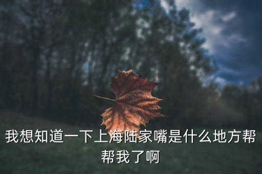 我想知道一下上海陸家嘴是什么地方幫幫我了啊