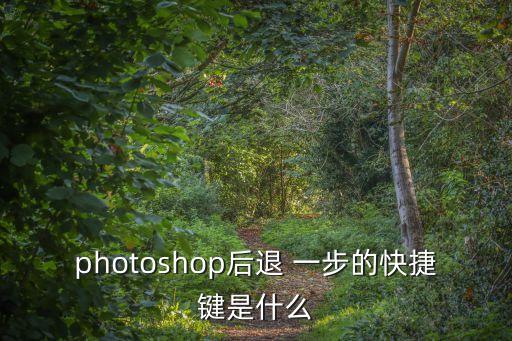 photoshop后退 一步的快捷鍵是什么