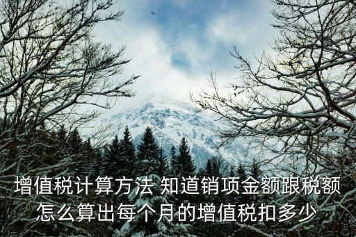 上海市增值稅計算方法，增值稅的計算方法