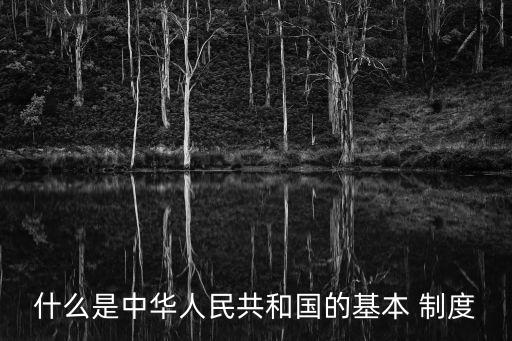 什么是中華人民共和國的基本 制度
