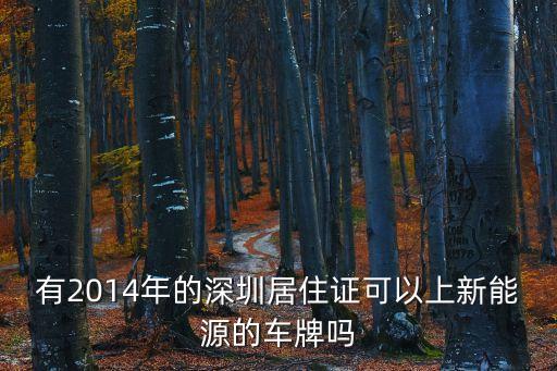 有2014年的深圳居住證可以上新能源的車牌嗎