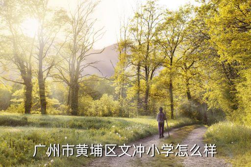 廣州市黃埔區文沖小學怎么樣