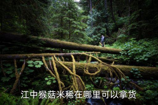 廣州能買到猴姑米稀嗎，廣州江中牌猴姑米稀哪里有的賣呢