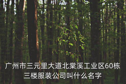 廣州市三元里大道北棠溪工業區60棟三樓服裝公司叫什么名字
