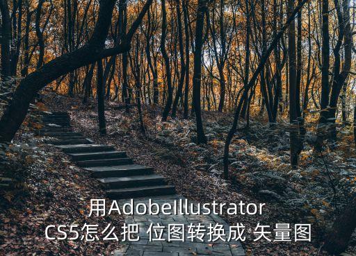 用AdobeIllustratorCS5怎么把 位圖轉換成 矢量圖