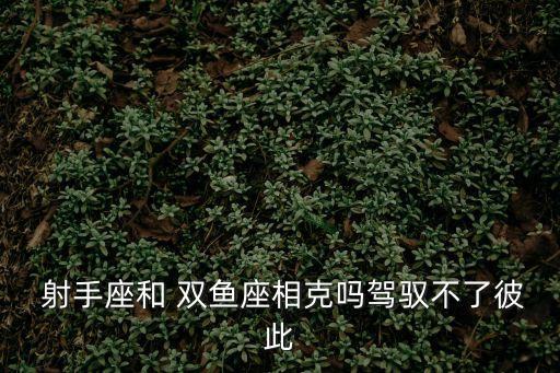  射手座和 雙魚座相克嗎駕馭不了彼此