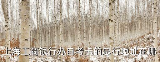 上海工商銀行辦自考卡的總行地址在哪