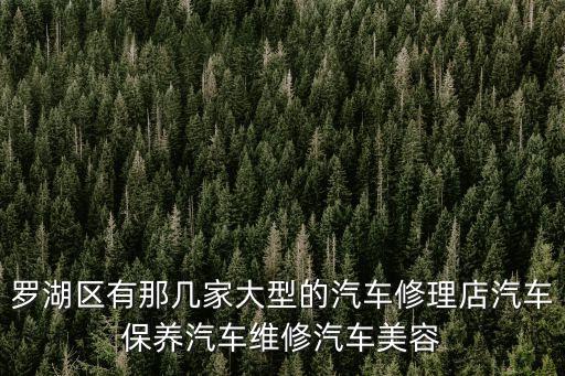 羅湖區有那幾家大型的汽車修理店汽車保養汽車維修汽車美容