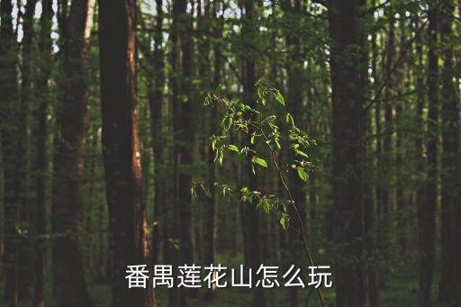 廣州番禺連花山，廣州番禺蓮花山門票多少