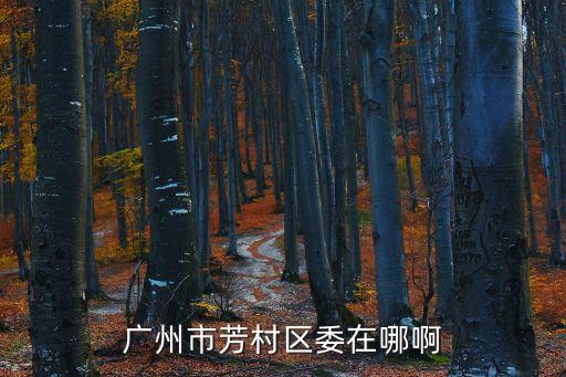 廣州芳村有同志基地，廣州芳村西朗屬于廣州哪個區