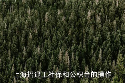 上海市柜臺社保招工流程，上海新公司如何辦理招工手續公積金賬戶要去哪里開立