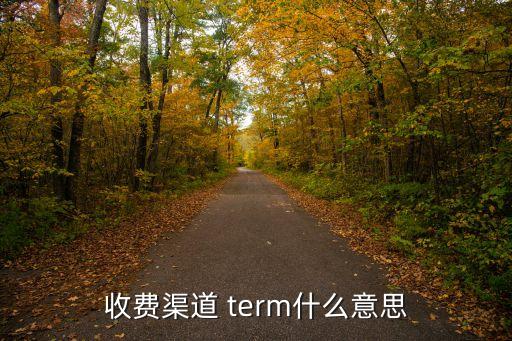 收費渠道 term什么意思