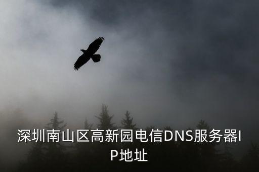 深圳南山區(qū)高新園電信DNS服務(wù)器IP地址