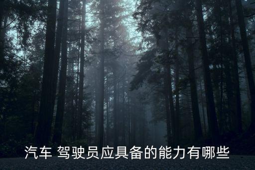 汽車 駕駛員應具備的能力有哪些