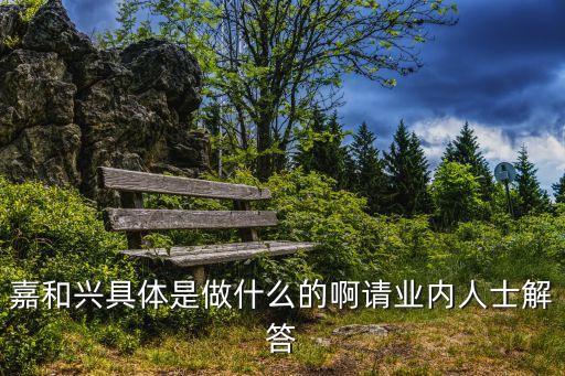 嘉和興具體是做什么的啊請業內人士解答