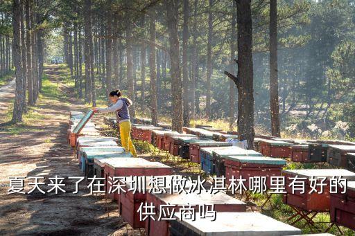 夏天來了在深圳想做冰淇林哪里有好的供應商嗎