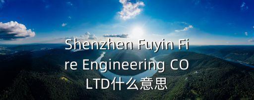 深圳市消防公司，Shenzhen Fuyin Fire Engineering COLTD什么意思