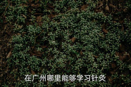 在廣州哪里能夠?qū)W習(xí)針灸