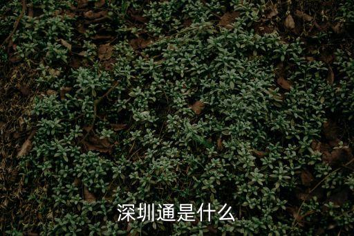 深圳通是什么