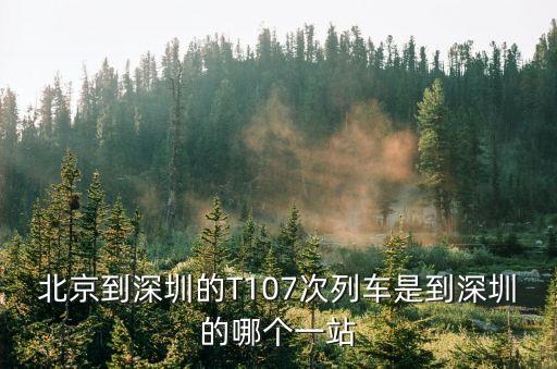 北陀到深圳，北京到深圳的T107次列車是到深圳的哪個一站