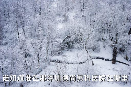深圳德尚男科地址，誰知道誰在那深圳德尚男科醫(yī)院在哪里