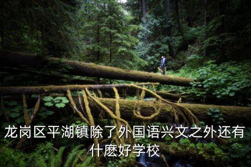 龍崗區(qū)平湖鎮(zhèn)除了外國語興文之外還有什麼好學(xué)校
