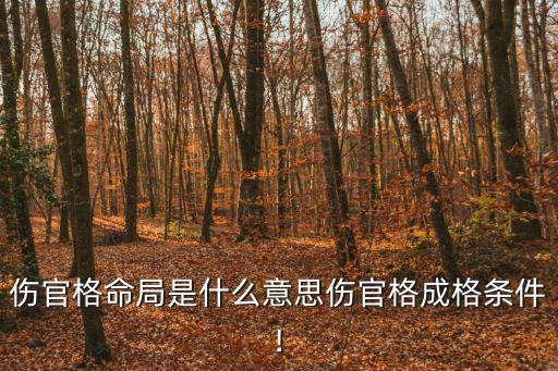 格主,八字命理格局:財官格主頭腦極端聰明