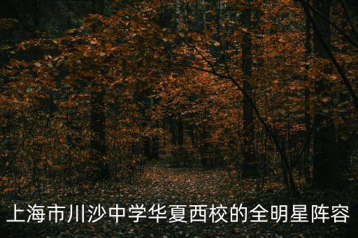 上海市川沙中學華夏西校的全明星陣容