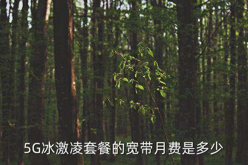 5G冰激凌套餐的寬帶月費是多少