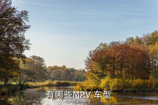 mpv車型