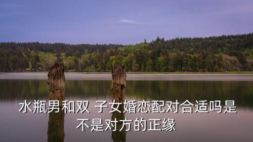  水瓶男和雙 子女婚戀配對合適嗎是不是對方的正緣