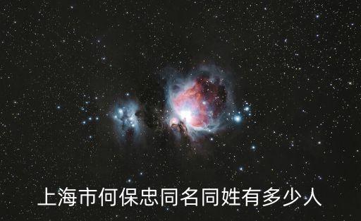 上海市有幾個宋忠勇，上海有多少市