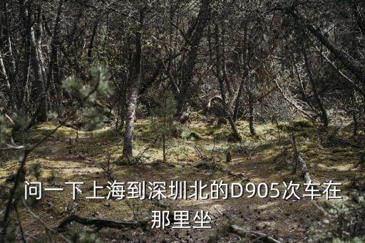 問一下上海到深圳北的D905次車在那里坐
