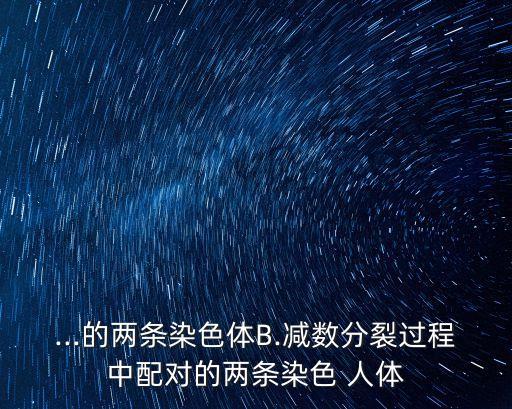 色人體,人體黑色素怎么去掉?答案是這樣的