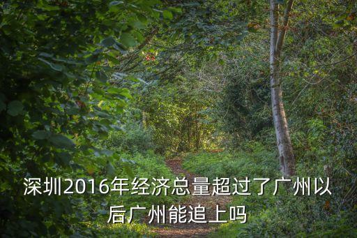 深圳2016年經(jīng)濟(jì)總量超過了廣州以后廣州能追上嗎