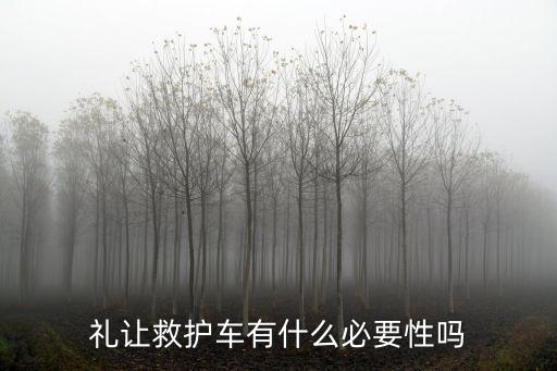 深圳千輛車禮讓救護(hù)車，深圳市違法代碼8005是什么意思罰多少錢的 罰100還是200還是