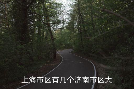 上海市地素，地素時尚股份有限公司和上海地素商貿有限公司是一家