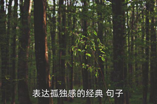 表達孤獨感的經典 句子