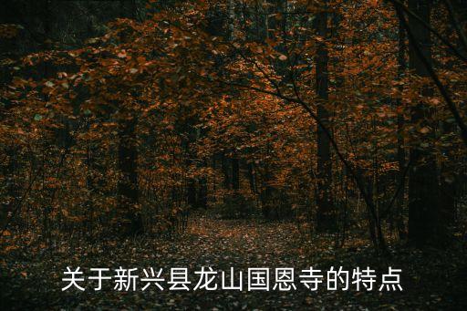 關于新興縣龍山國恩寺的特點