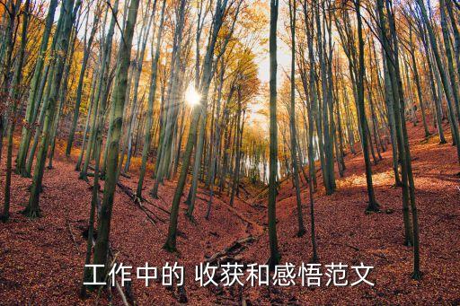 工作收獲怎么寫,入職一個(gè)月工作收獲怎么寫