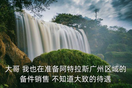 大哥 我也在準備阿特拉斯廣州區域的備件銷售 不知道大致的待遇