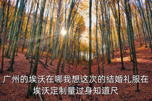 廣州的埃沃在哪我想這次的結婚禮服在埃沃定制量過身知道尺