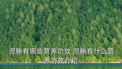  泥鰍有哪些營養功效 泥鰍有什么營養功效介紹