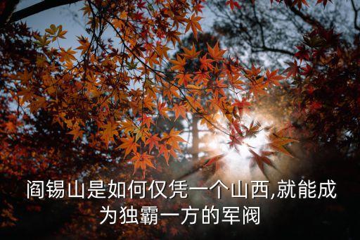  閻錫山是如何僅憑一個山西,就能成為獨霸一方的軍閥