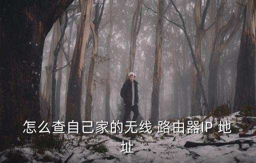 路由器的ip地址