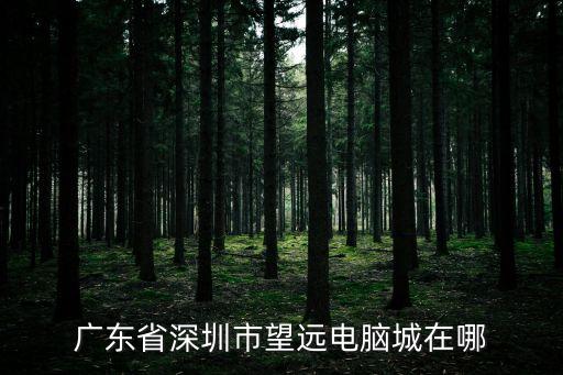 深圳望遠(yuǎn)科技，深圳市福田區(qū)華強(qiáng)北遠(yuǎn)望3樓 明天科技有這家店么謝謝