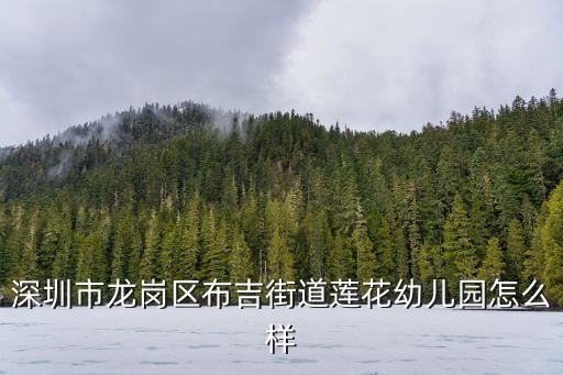 深圳市龍崗區布吉街道蓮花幼兒園怎么樣
