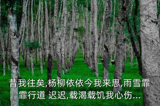 昔我往矣,楊柳依依今我來思,雨雪霏霏行道 遲遲,載渴載饑我心傷...